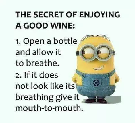Minion Breathing Wine