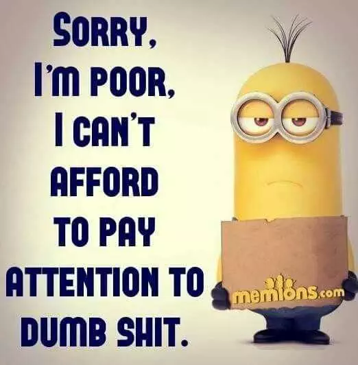 Minion Cant Pay Attention