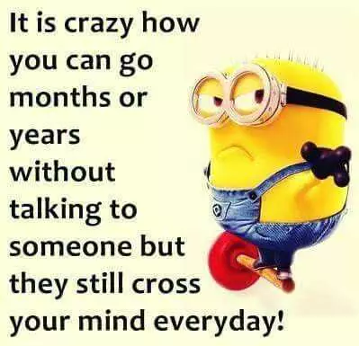 30 Minions You Need To Share And Save