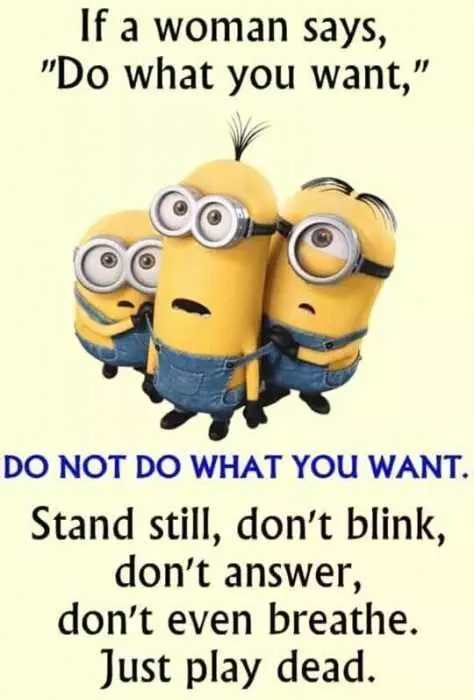 Minion Do What You Want
