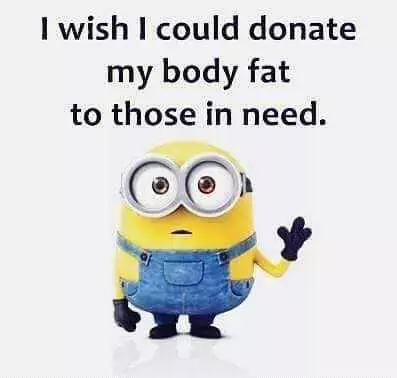 Minion Donate Fat