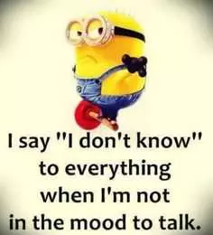 Minion I Say Everything Now