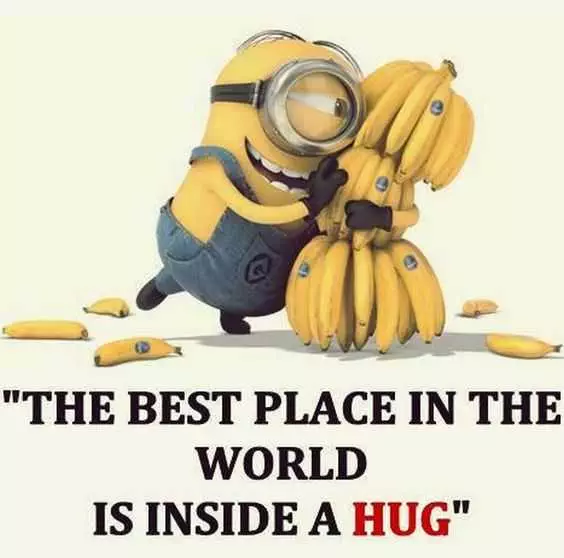 Minion Inside A Hug