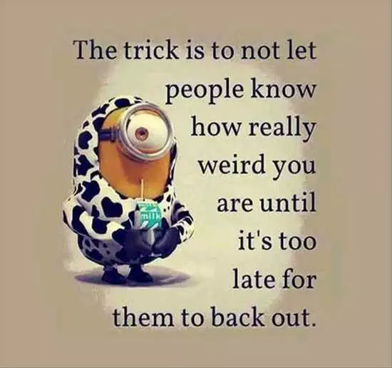 Minion Trick Is To Let