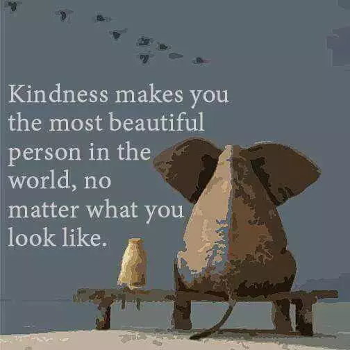 Quote Kindness Beautiful
