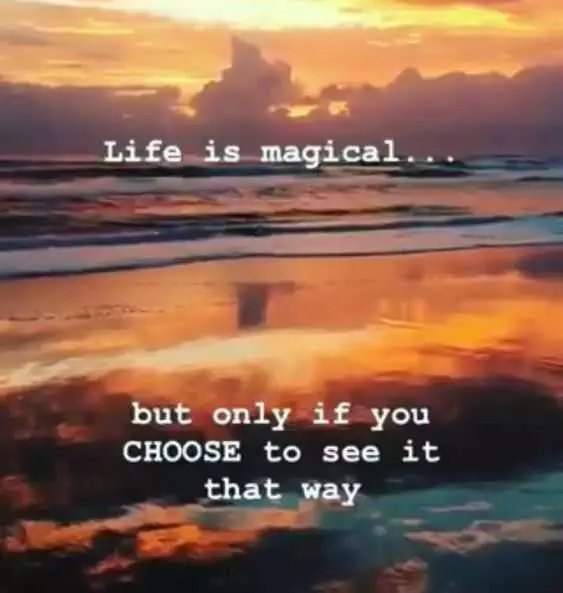 Quote Life Is Magical