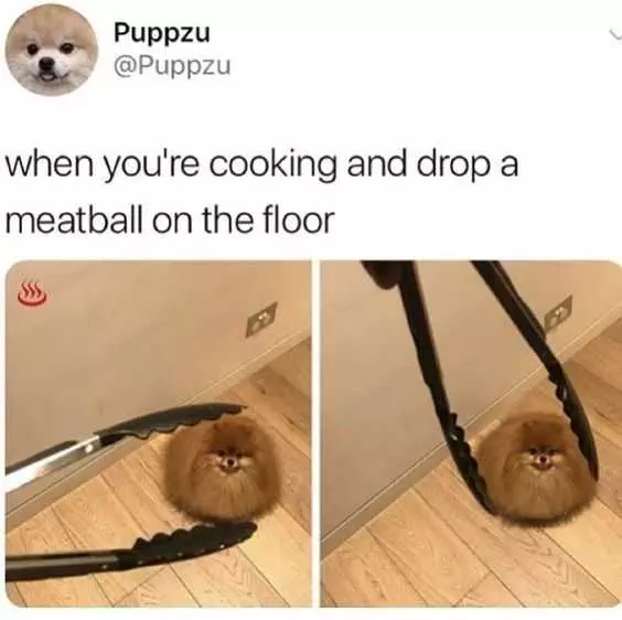 Quote Meatball