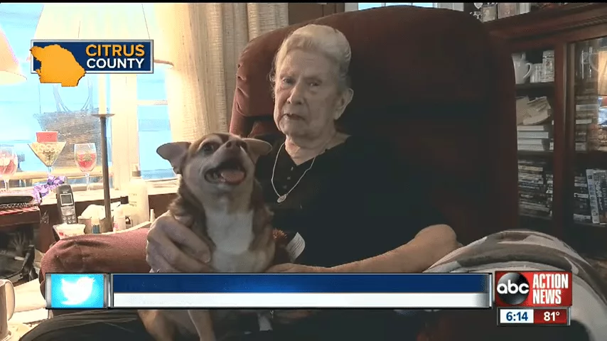 Rescue Dog Saves 92 Year Old Inverness Owner 0 45 Screenshot