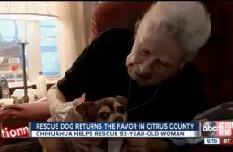 Rescue Dog Saves 92 Year Old Inverness Owner 1 53 Screenshot