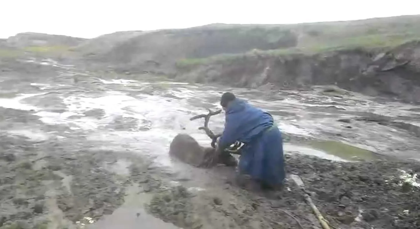 Screen Shot 2018 10 13 At 10.08.04 Pm