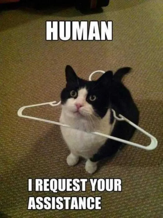 Animal Human Assistance