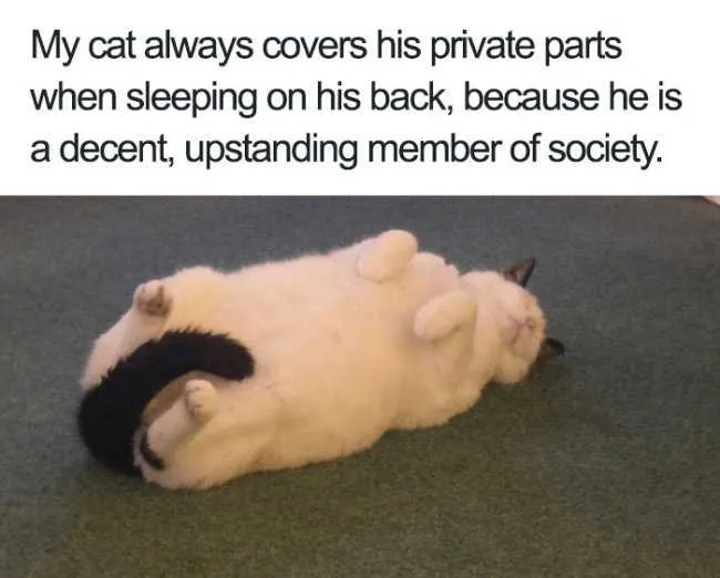 Covers Parts