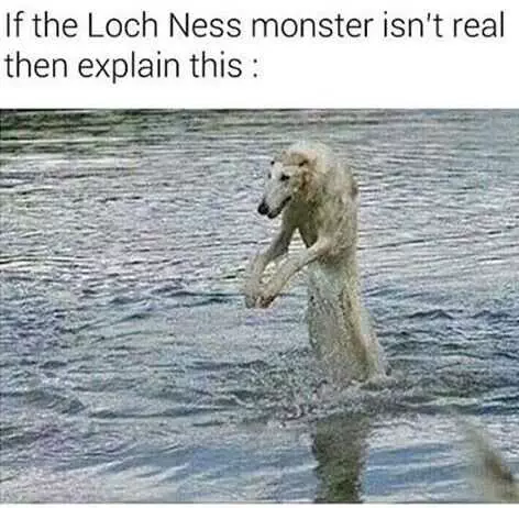 Funny Loch Ness