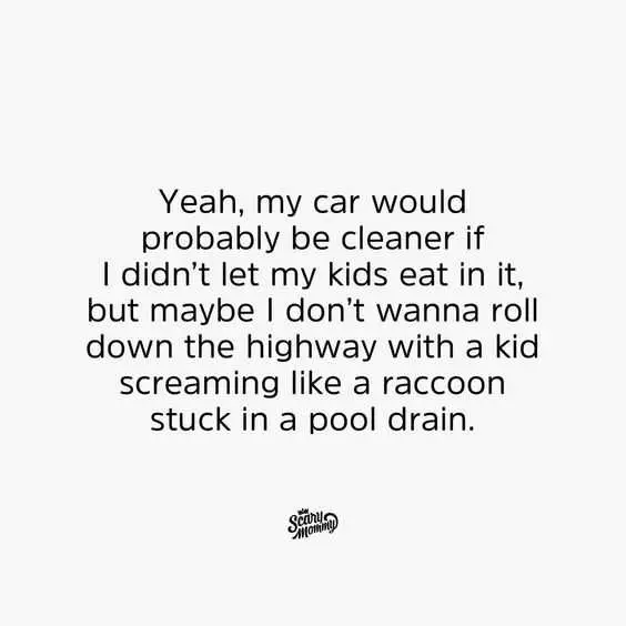 Funny Roll Racoon