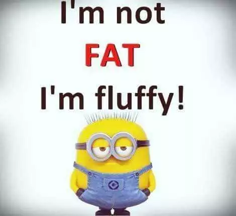 Minion Fat Fluffy
