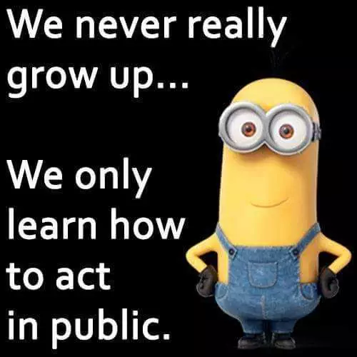 Minion We Only Learn