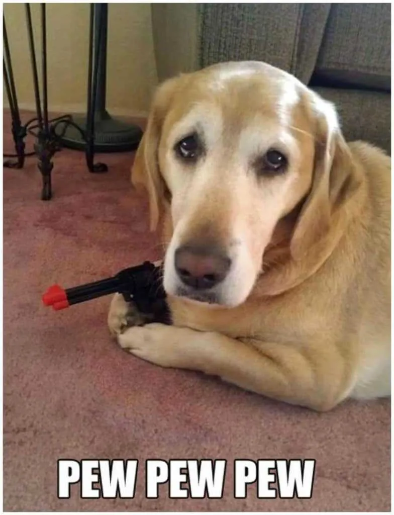 Pew Pew