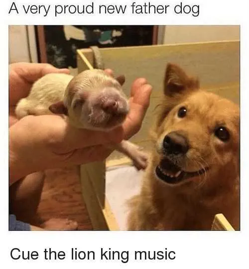 Proud Dad Dog