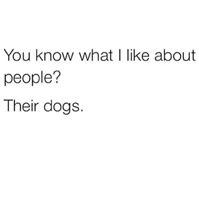 Quote The Dogs