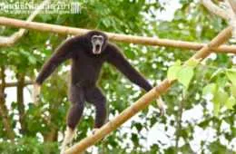 Screen Shot 2018 10 25 At 10 0 3