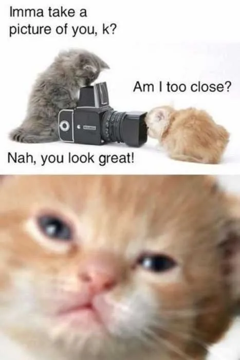 Too Close
