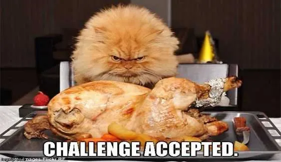Funny Challenge Accepted