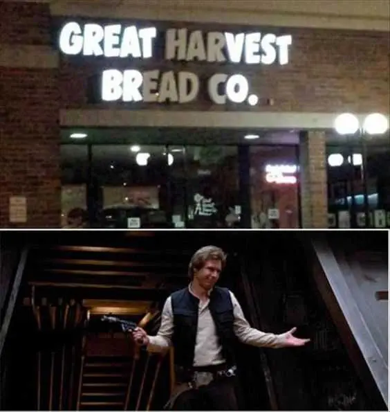 Funny Great Vest