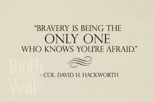 Quotes About Bravery And Fear