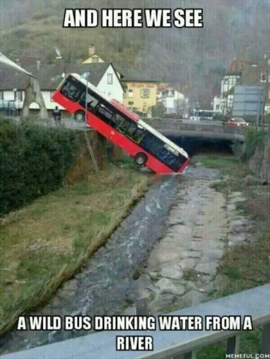 Funny Bus Water
