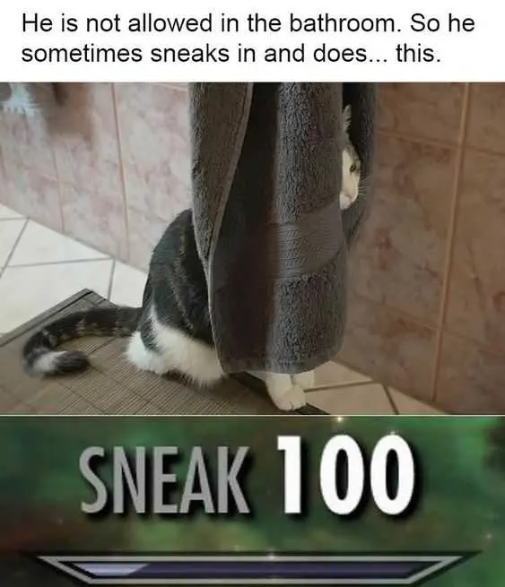 Funny Sneaks