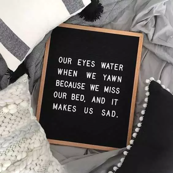Funny Letter Board Quotes  Good Observations