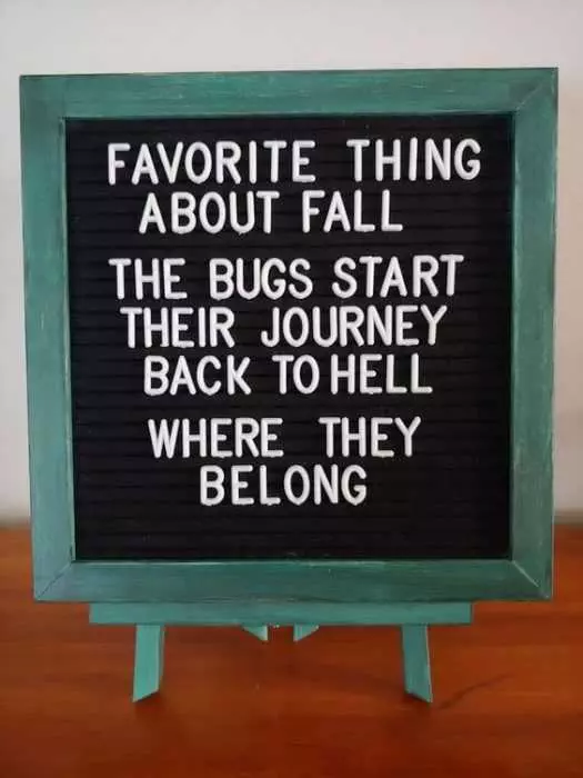 Funny Letter Board Quotes  Fall Love