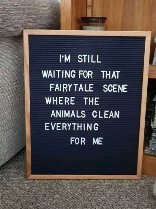 Hilarious Letter Board Quotes  Disney Expectations