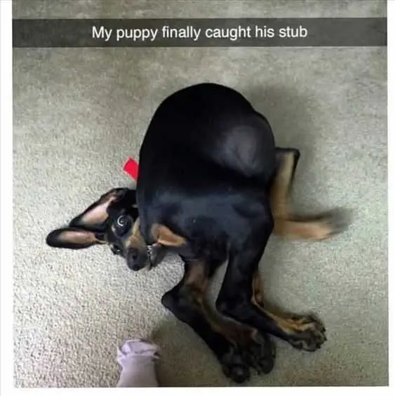 Funny Caught