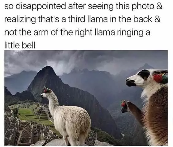 Funny Llama Bell