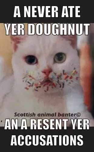 Funny Ate Your Donut