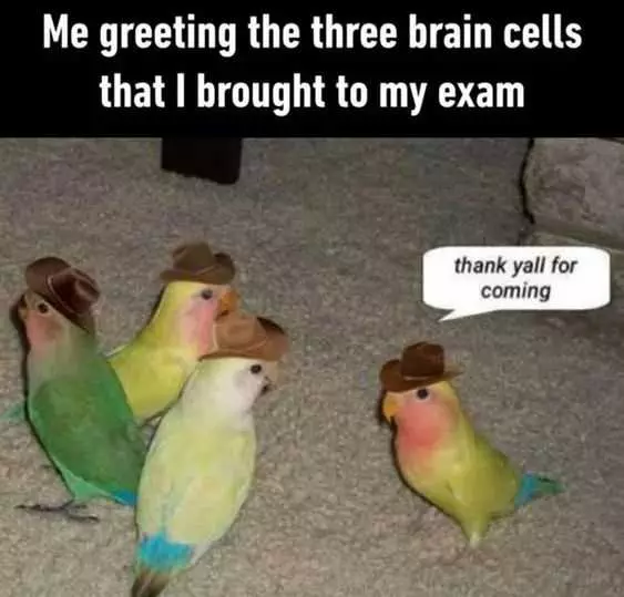 Funny Brain Cells