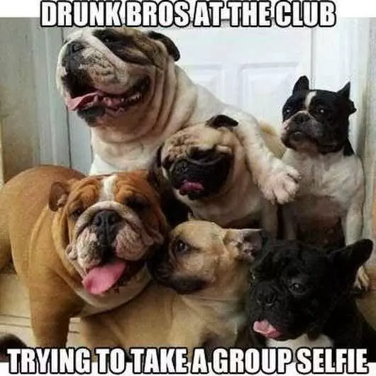 Funny Drunk Bros