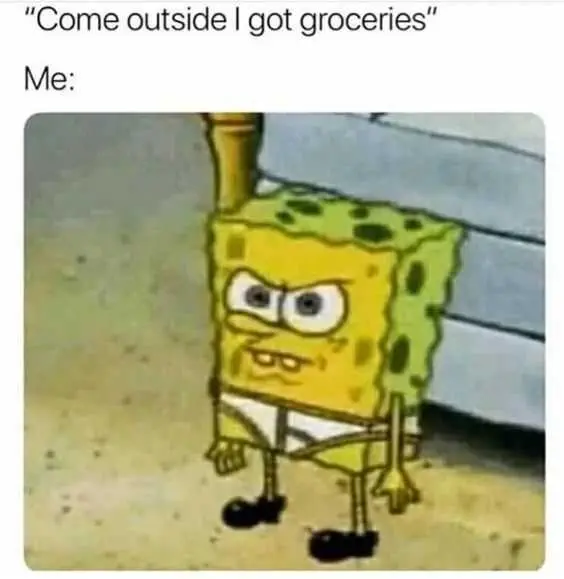 Funny Got Groceries