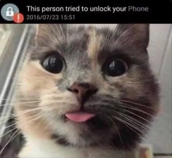 Funny Kitty Unlock