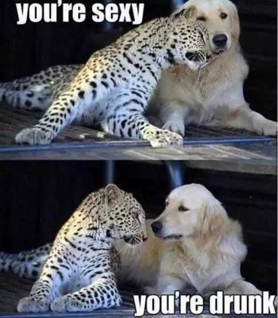 Funny Leopard Dog