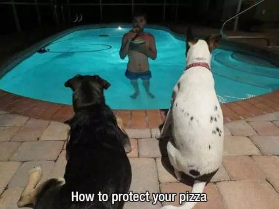 Funny Protect Pizza
