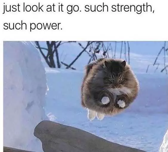 Funny Such Strength