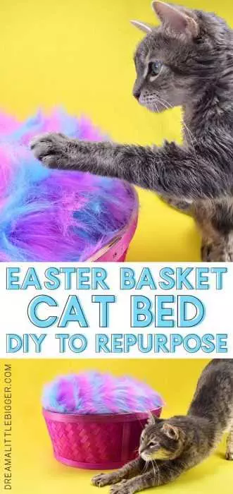 Diy Easter Basket Cat