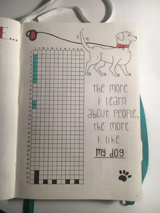 Diy Walk Log