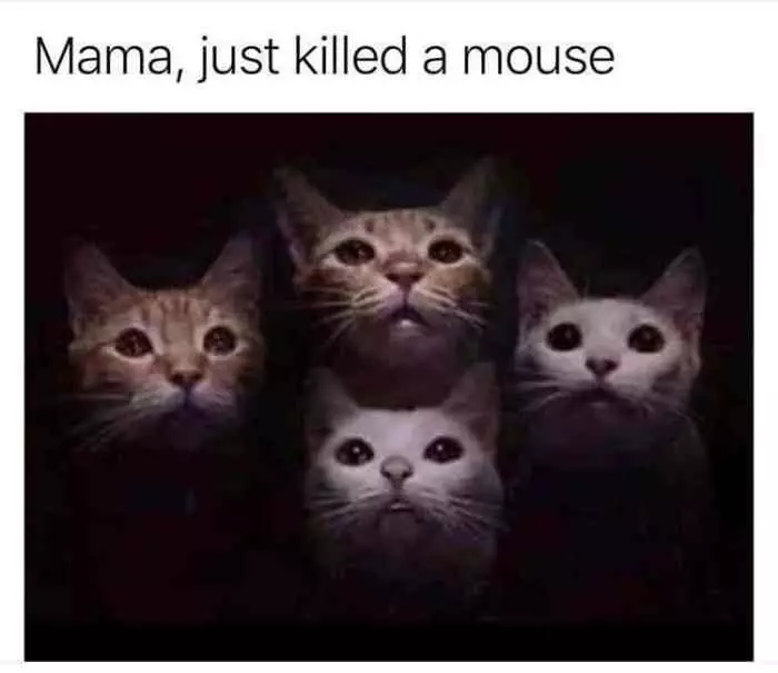 Funny A Mouse