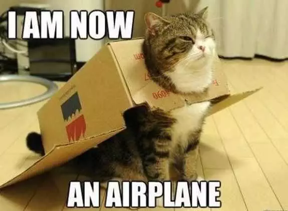 Funny An Airplane