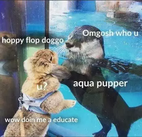 Funny Aqua Pupper