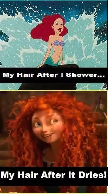 Funny Disney Hair