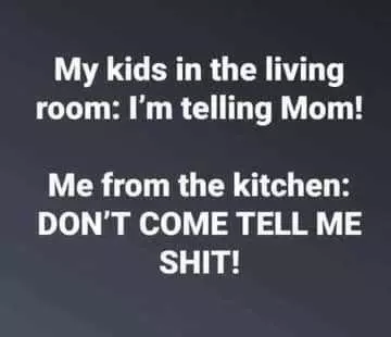 Witty Quotes  Witty Parenting Quotes
